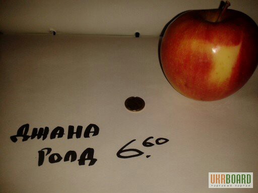 Фото 2. Яблоки оптом яблоко мал. среднее. большое. Голд