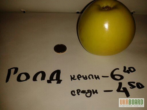 Фото 3. Яблоки оптом яблоко мал. среднее. большое. Голд