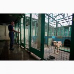 Вольеры для питомников и животноводческих комплексов Запорожье, Украина