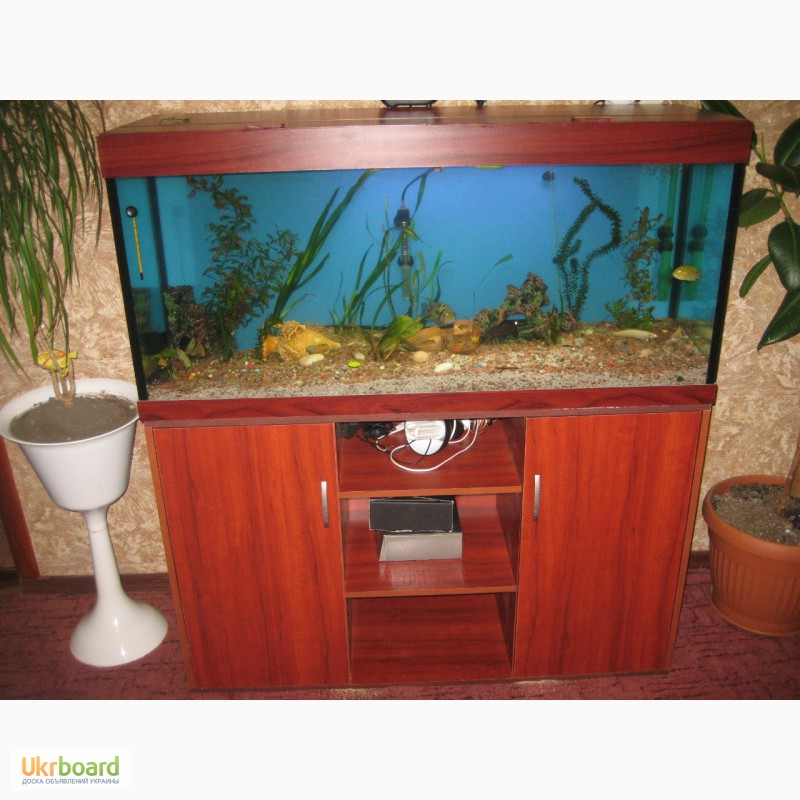 Фото 2. Продажа аквариумов