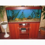 Продажа аквариумов