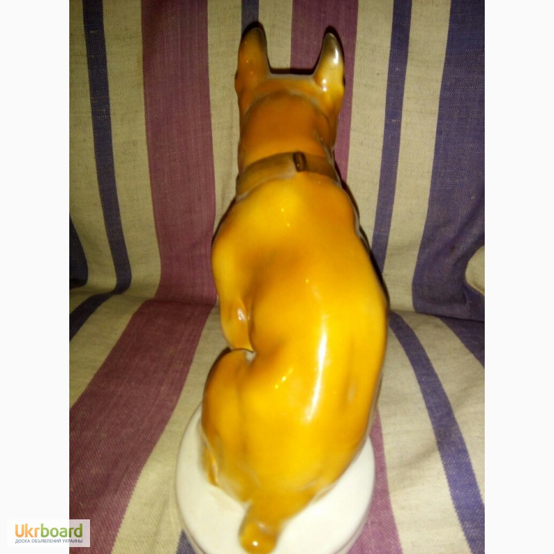 Фото 4. Фарфоровая статуэтка собаки, фигурка собаки - бульдог, увековеченный в фарфоре