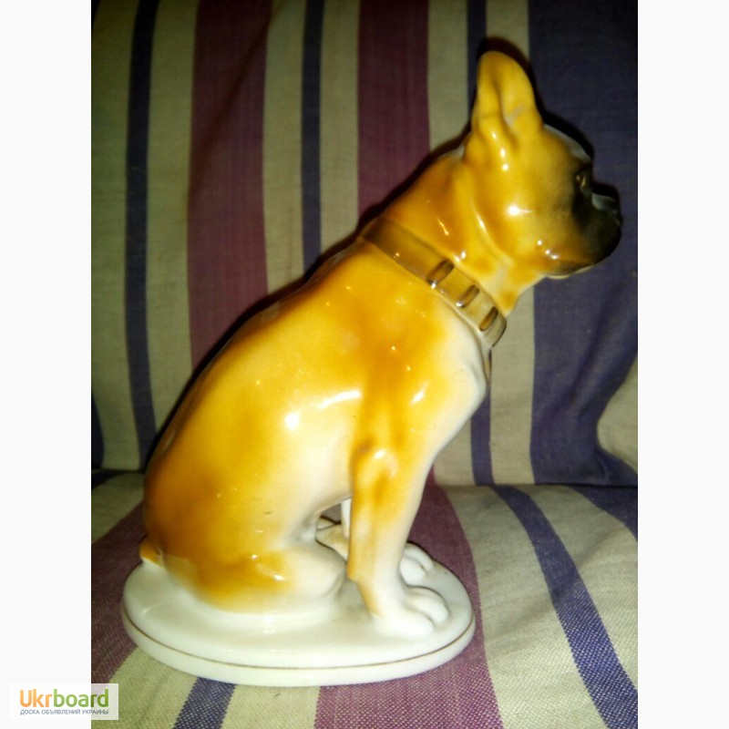 Фото 5. Фарфоровая статуэтка собаки, фигурка собаки - бульдог, увековеченный в фарфоре
