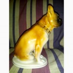 Фарфоровая статуэтка собаки, фигурка собаки - бульдог, увековеченный в фарфоре