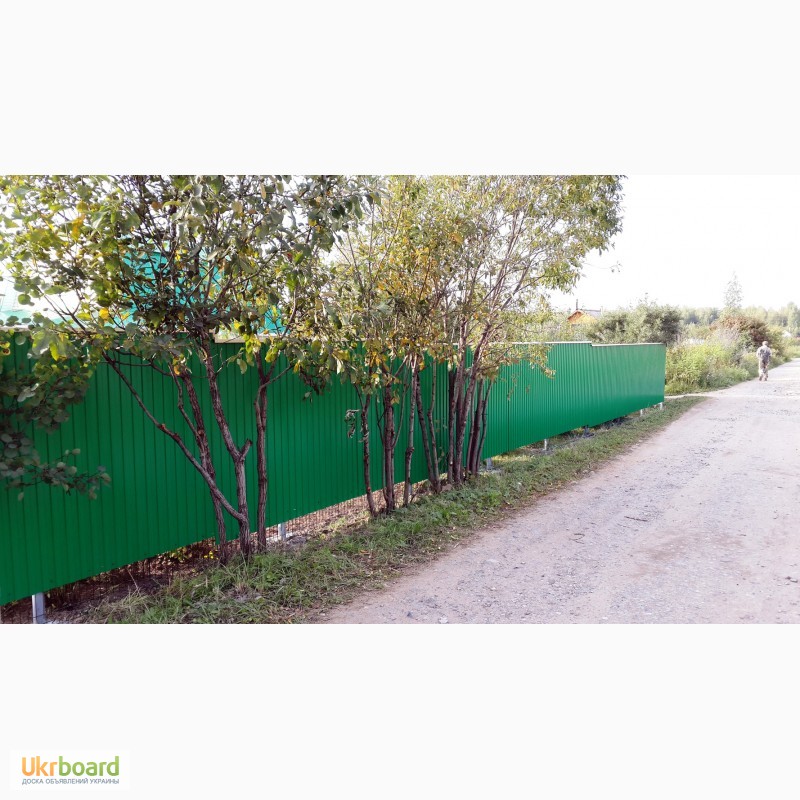 Фото 2. Забор из профнастила зелённый, профильный лист 6005