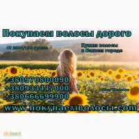 Продать волосы в Одессе дорого Купим волосы дороже всех