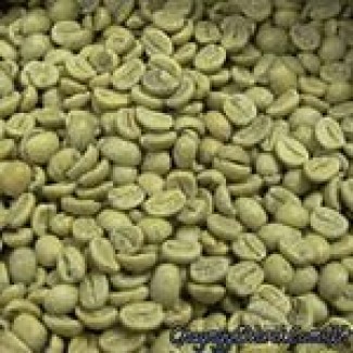 Кофе зеленый необжаренный в зернах Робуста Вьетнам, Гр.1, Скрин 16