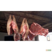 Продам мясо вьетнамской свиньи, поросят кабанчиков, свинок, взрослых и молодняк