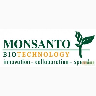 Семена кукурузы Монсанто гибрид (Monsanto)