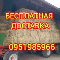 Луговое сено в тюках, люцерна, солома с бесплатной доставкой по Украине