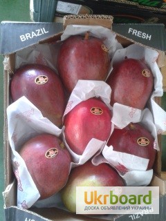 Фото 2. Продаем манго из Испании