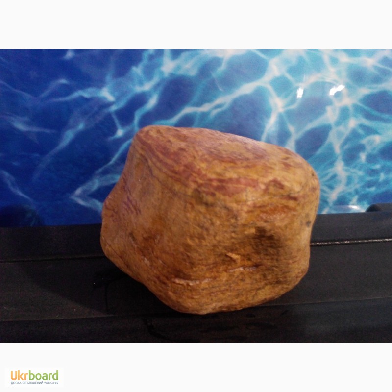 Фото 4. Камень WATER-RING декор для аквариума