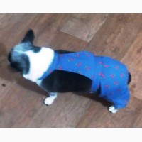 Летний комбинезон - шорты для собаки