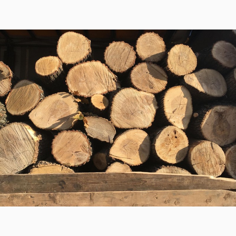 Фото 3. Продам дрова твердых пород (дуб, ясень, акация), а также дрова фруктовые