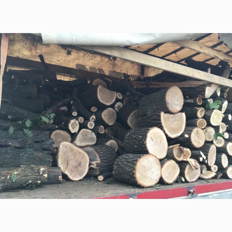 Фото 5. Продам дрова твердых пород (дуб, ясень, акация), а также дрова фруктовые