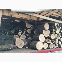 Продам дрова твердых пород (дуб, ясень, акация), а также дрова фруктовые