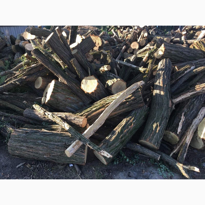 Фото 6. Продам дрова твердых пород (дуб, ясень, акация), а также дрова фруктовые