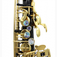 Абсолютно Новий Саксофон saxophone Альт ALTO Slade Designed By Usa чорно золотий труба