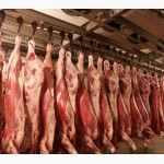 Реализуем мясо свинины, говядины