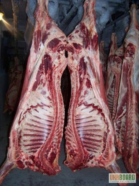 Фото 3. Реализуем мясо свинины, говядины