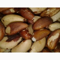 Орехи: грецкий, бразильский, макадамия, фундук, пекан, миндаль, кешью, фисташки