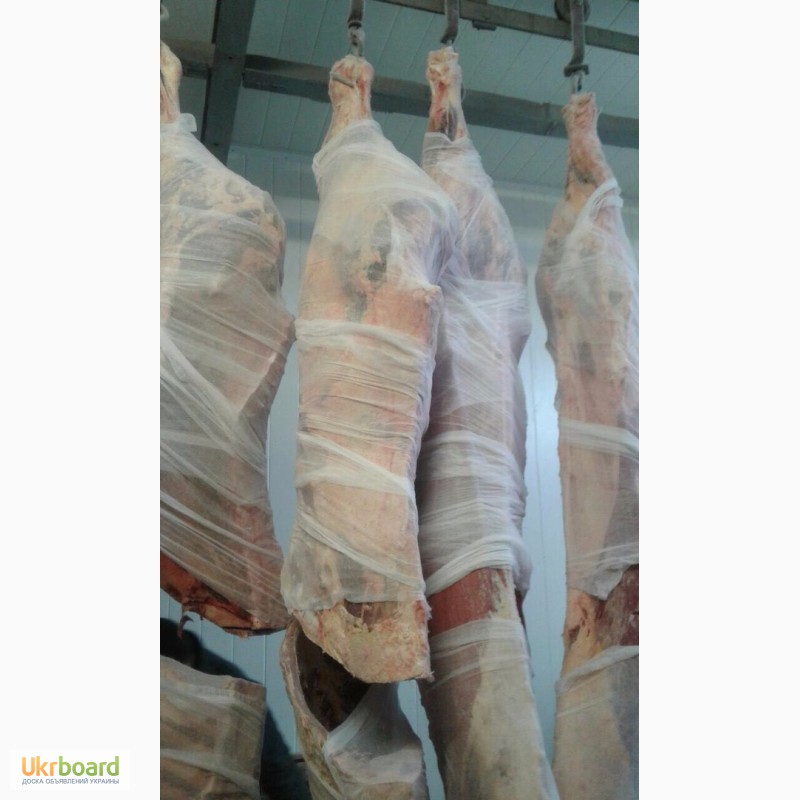 Фото 2. Продам говядину в полутушах, возможен Халяль на экспорт высочайшего качества