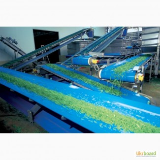 Конвейерные ленты из ПВХ синего цвета для сельскохозяйственной и пищевой промышленности