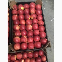 Продам яблоки разные сорта, холодильное хранение, газированное, смарт-фрэш (Экспорт)