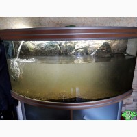 Чистка и обслуживание аквариумов и террариумов