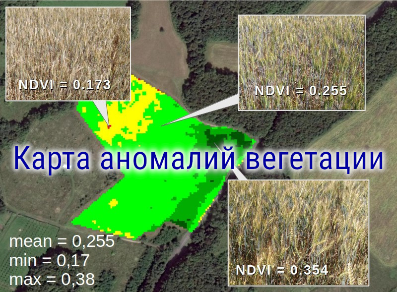 Создание карт вегетации полей на основе космоснимков, работаем по Украине