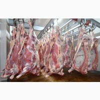 Оптовая продажа мяса по Киеву и Киевской области
