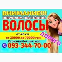 Где продать волосы в Николаеве дорого Скупка волос Николаев Куплю волосы в Украине