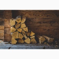 Продам дрова рубани(акации) 10 метров (1 метр 750 грн)