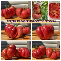 Продам насіння томатів