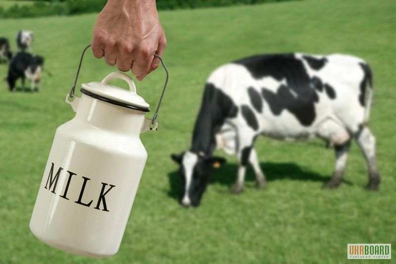 Фото 3. Молоко коровье домашнее с бесплатной доставкой на дом по Харькову