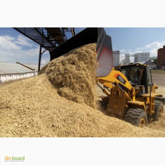 Компания закупает - фуражную кукурузу с повышеной зерновой