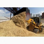 Компания закупает - фуражную кукурузу с повышеной зерновой