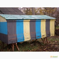 Продам бджолопавільйон (модуль)