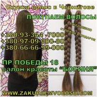 Продать волосы в Чернигове Покупаем волосы Чернигов и область Салон красоты Богиня