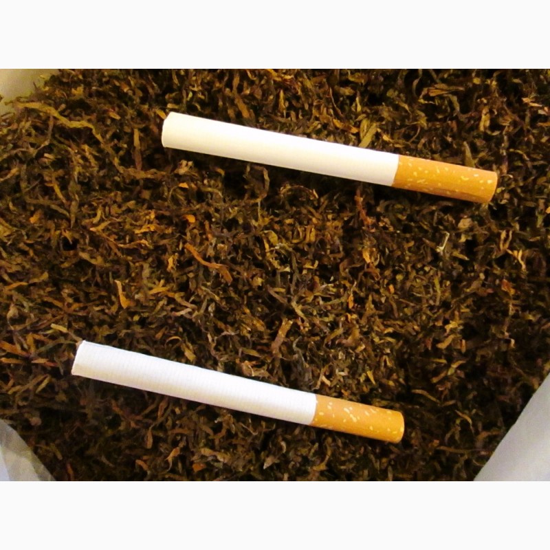 Табак для забивки в гильзы, самокруток и трубки, ферментированный лапша.СЕМЕНА-20ГРН