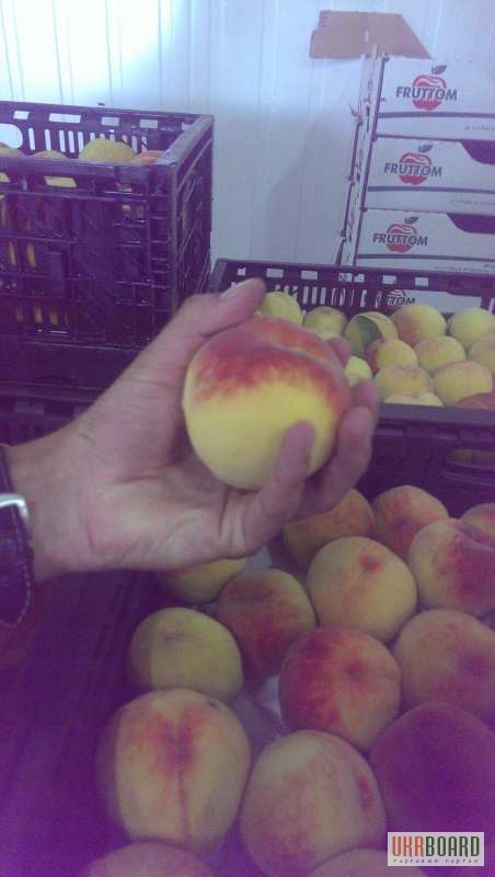 Фото 3. Персик оптом, элитные сорта яблок, абрикоса, сливы, малины