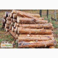 Продам дрова сосны, акации