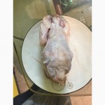 Замороженную тушку суповой курицы