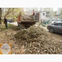 Аренда дробилки для дерева Киев