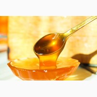 Покупаем мёд подсолнечный, сейчас в Олешках, Херсонской области