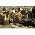 Продам дубовые корневища для ландшафтного дизайна и интерьера