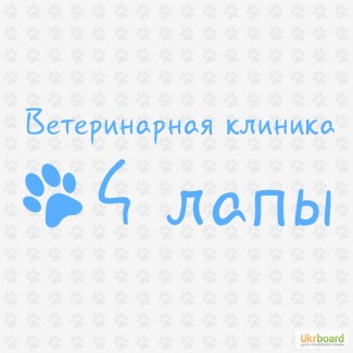 Ветеринарная клиника 4 лапы (ветеринарные услуги) в Донецке