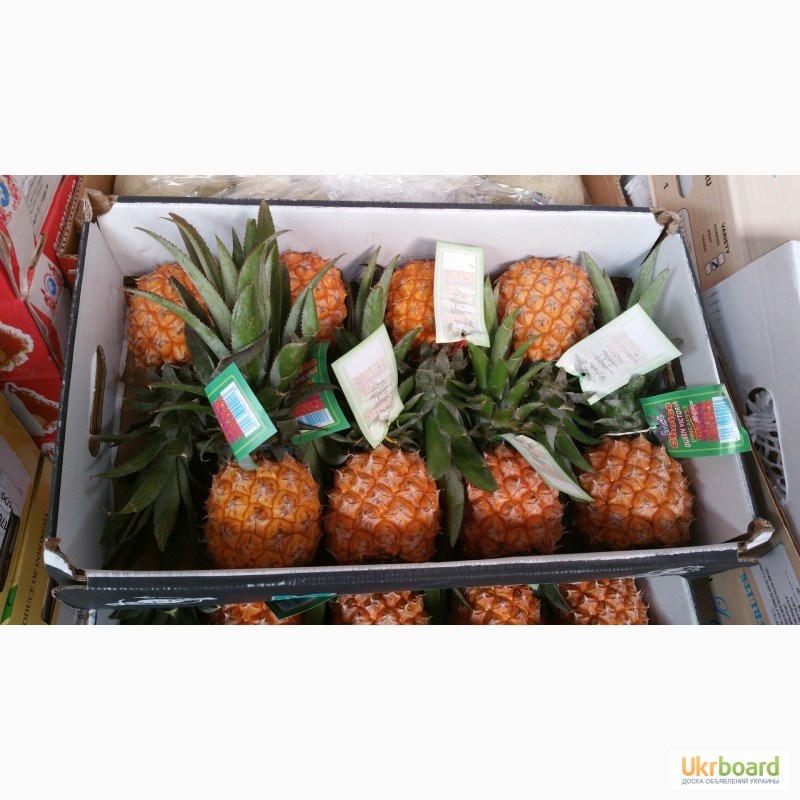 Фото 5. Продаем ананасы из Испании