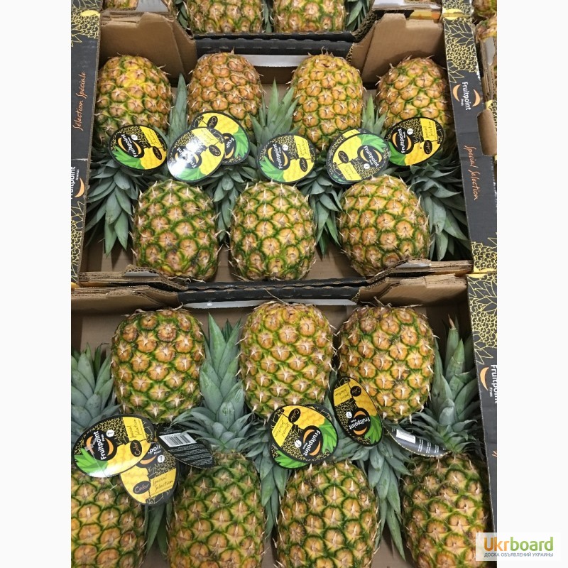 Фото 7. Продаем ананасы из Испании