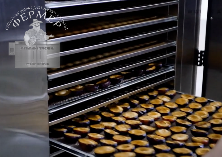 Фото 4. Инфракрасные сушильные шкафы Фермер-2040 для сушки яблочных чипсов, мясных чипсов